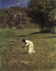 Metsän niitty